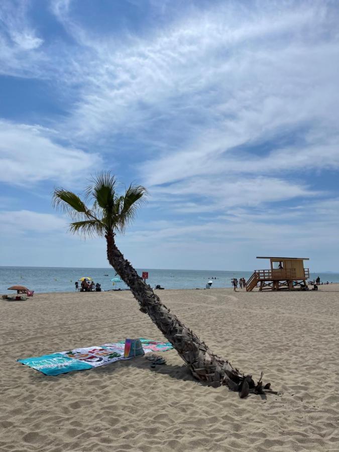 T2 Avec Terrasse, Vue étang Et Son Coucher De Soleil, à Proximité, Wifi Et Place De Parking Gratuit Que L On Nomme Grain De Corail Le Barcarès